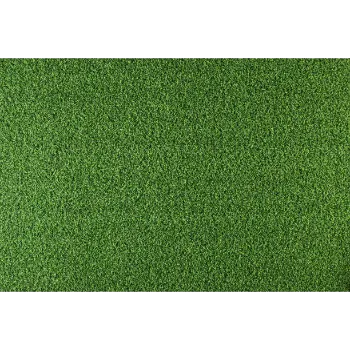 Lawn Grass
